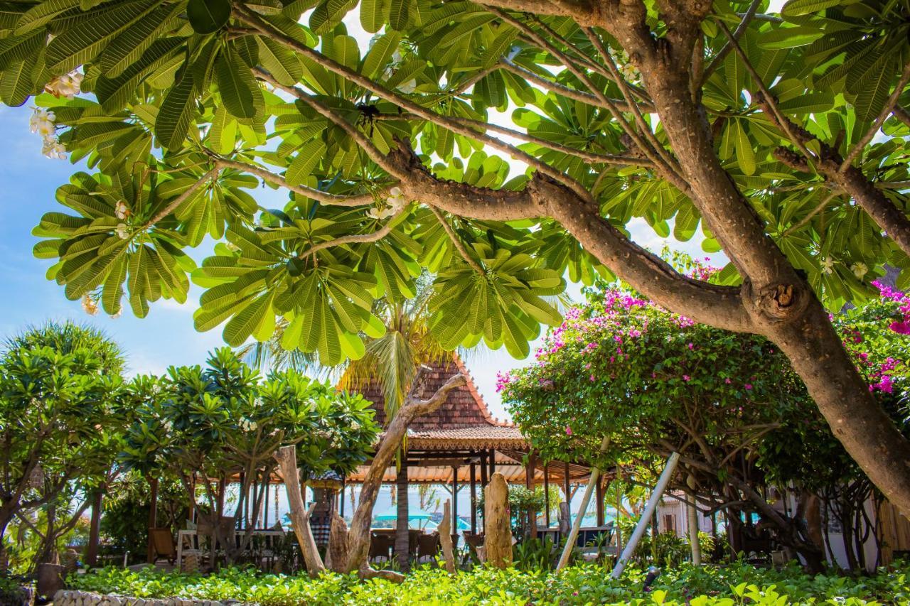 גילי אייר Sunrise Resort מראה חיצוני תמונה